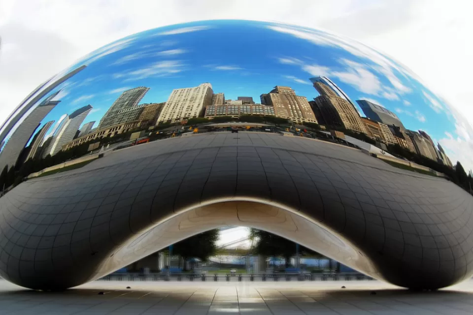 Bean06_Crop
